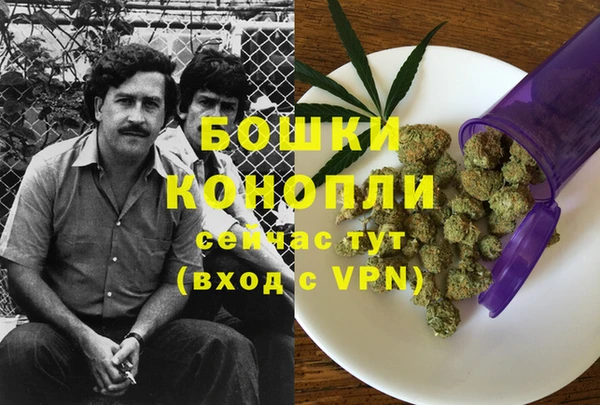 apvp Магас