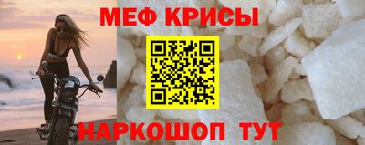 СК Гатчина