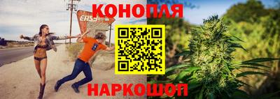 СК Гатчина