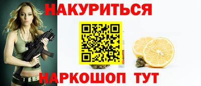 СК Гатчина