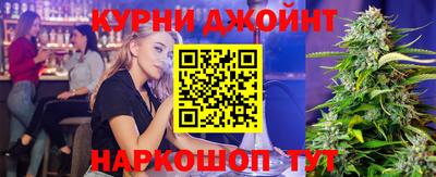 СК Гатчина