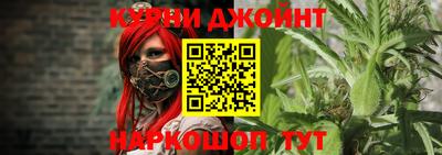 СК Гатчина