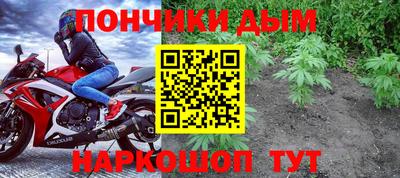 СК Гатчина