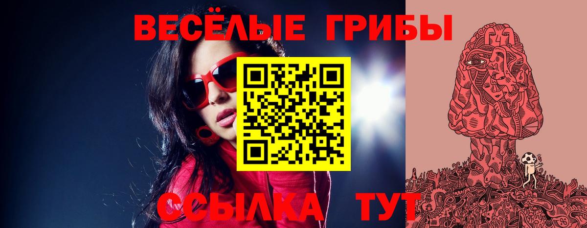 Псилоцибиновые грибы Psilocybe  Вход с VPN  Карталы  Псилоцибиновые грибы мухоморы 