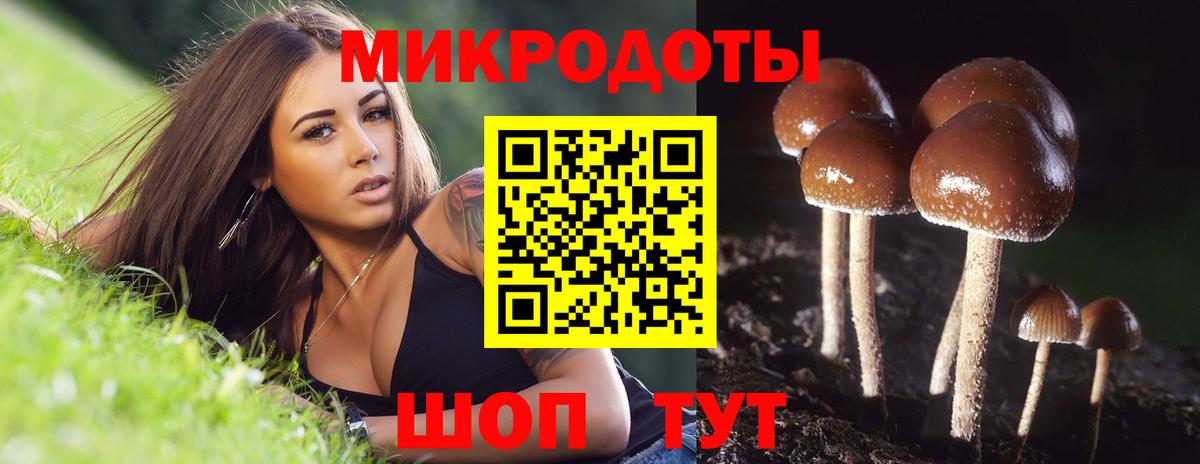 Псилоцибиновые грибы MAGIC MUSHROOMS  Вход с VPN  Галлюциногенные грибы GOLDEN TEACHER  купить  цена  Карталы 